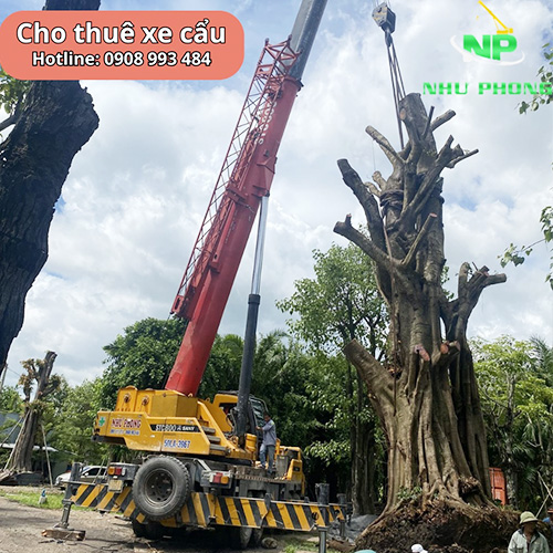 Cho thuê xe cẩu cây xanh